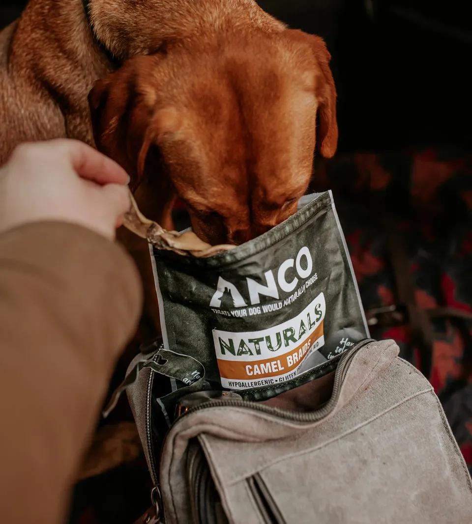 Anco Camel Braid Pack Dog Chew