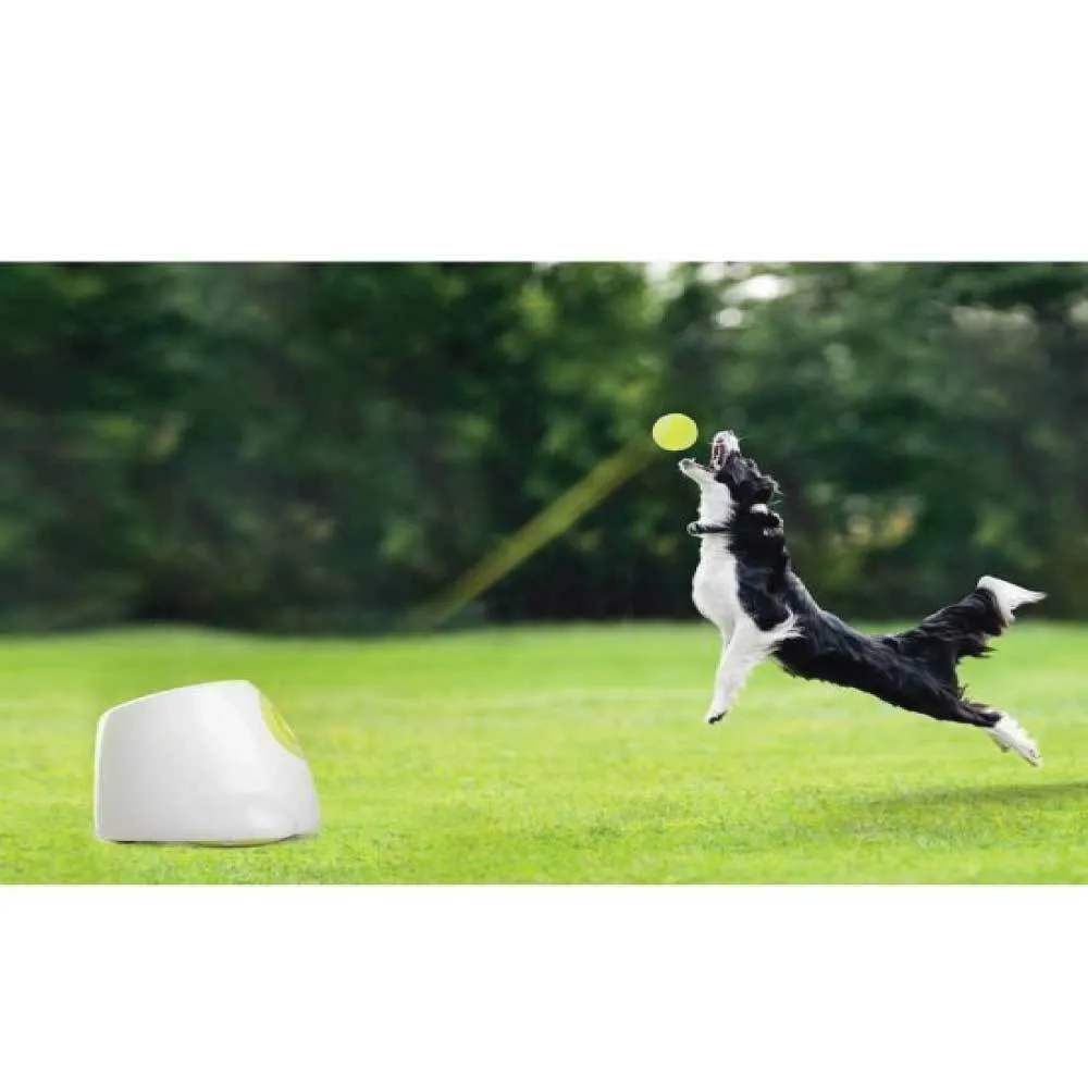 Automatic Dog Ball Thrower