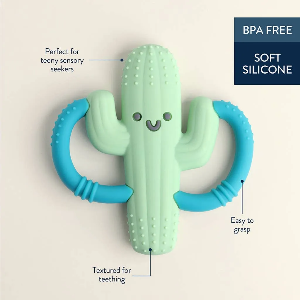 Chew Crew: Cactus