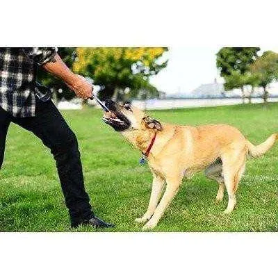 Chuck It Hydro Squeeze Duo Tug