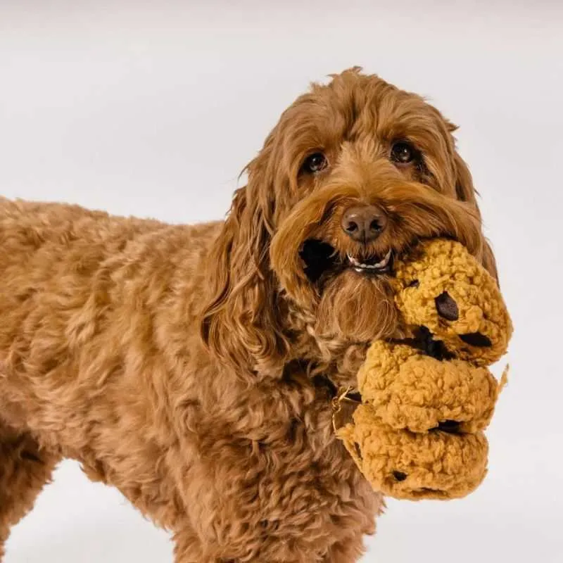 Cookies n' Treats Dog Toy