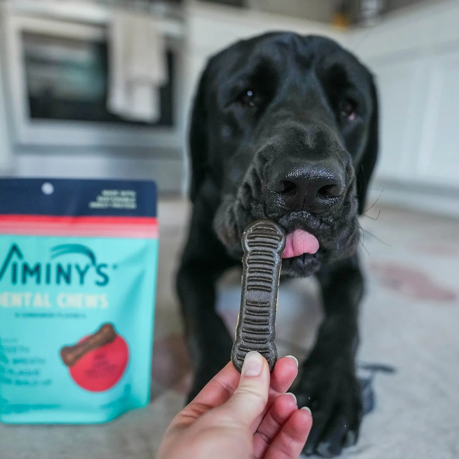 Dental Chews Large