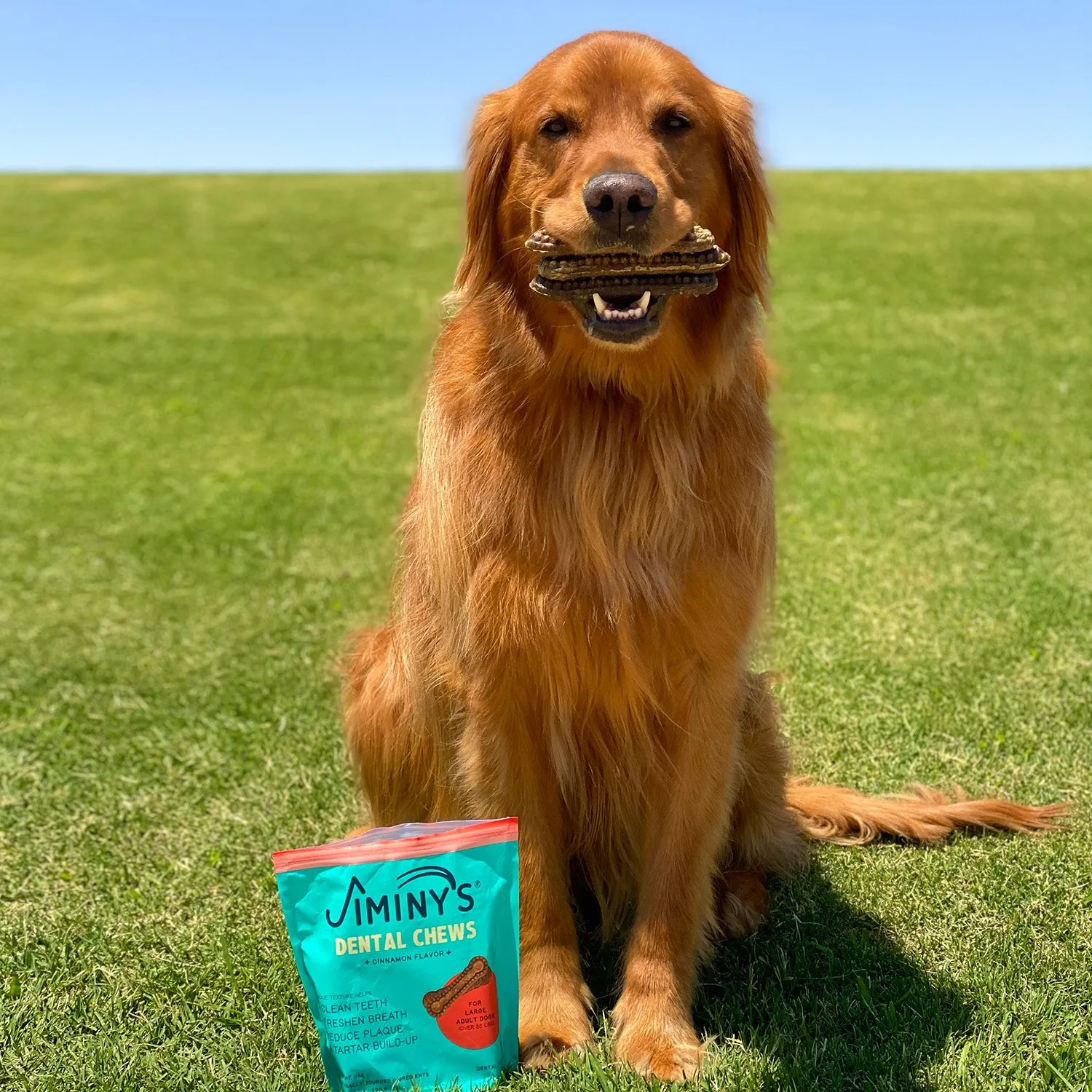 Dental Chews Large