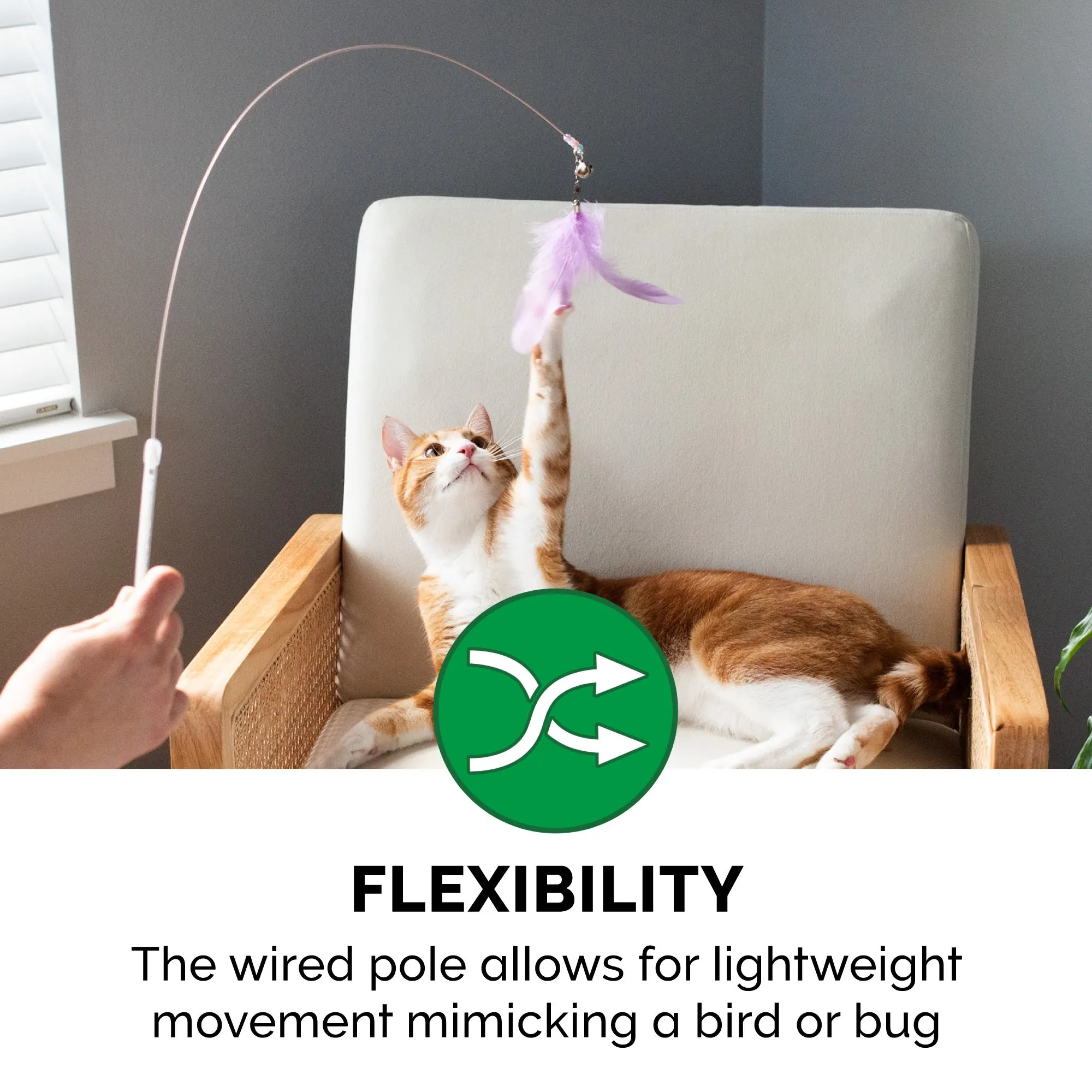 Dizzy Kitty Feather Cat Wand Toy (2 pack)