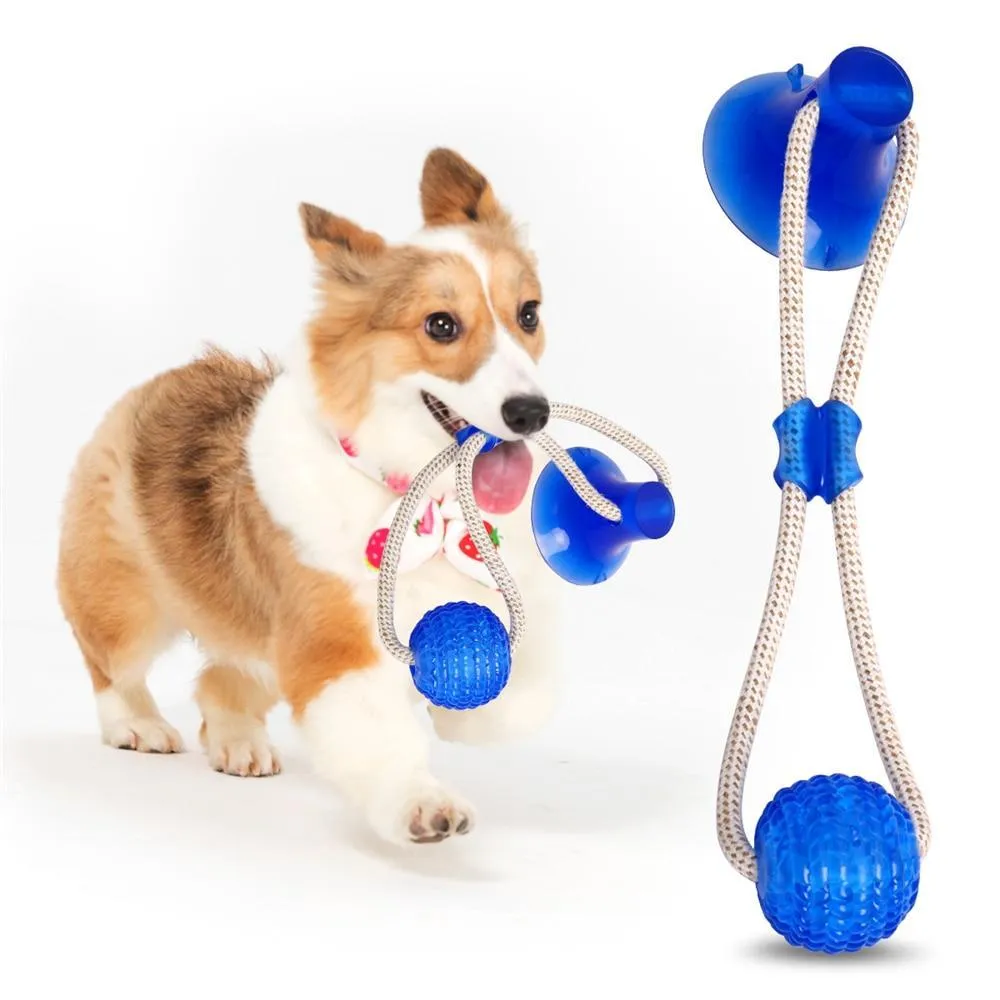 Dog Interactive Suction Cup Push Toys