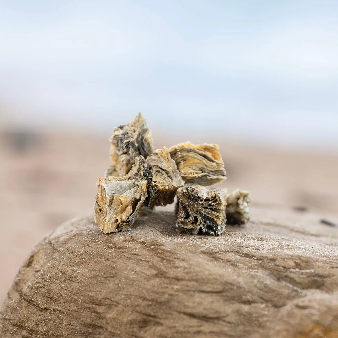 Fish Cubes