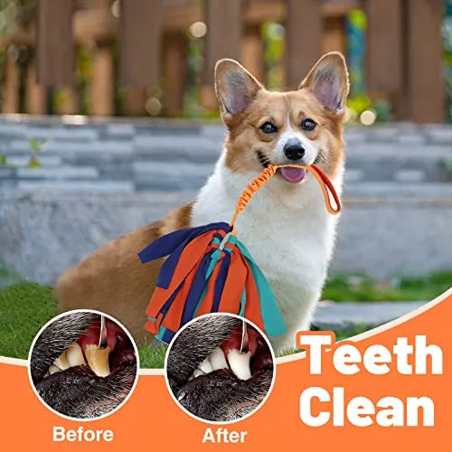 Interactive No Squeaker Tuggable Dog Rope Toy