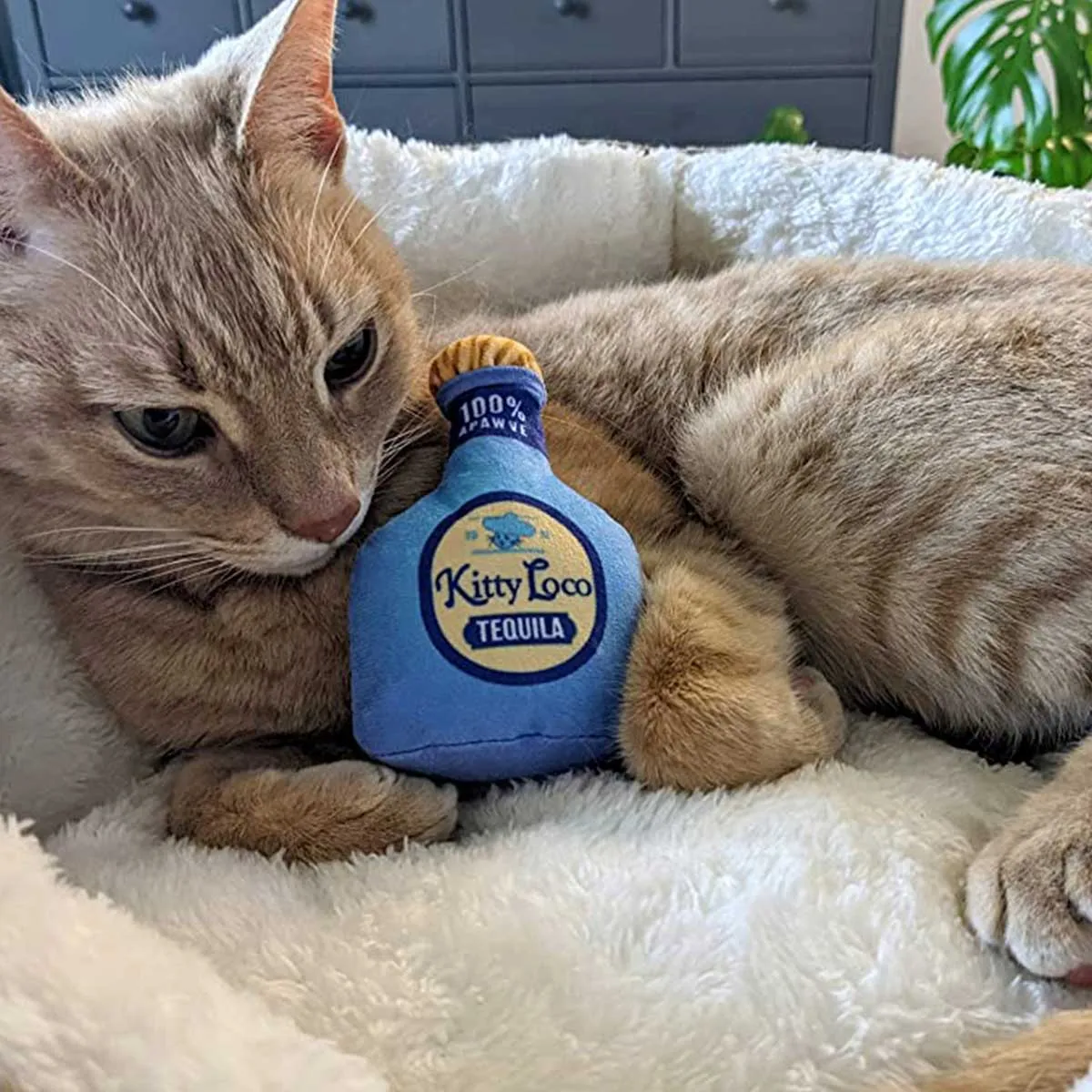 Kittybelles Loco Tequila Catnip Toy