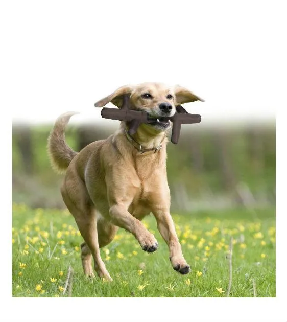 Kong Pet Stix Dog Toy