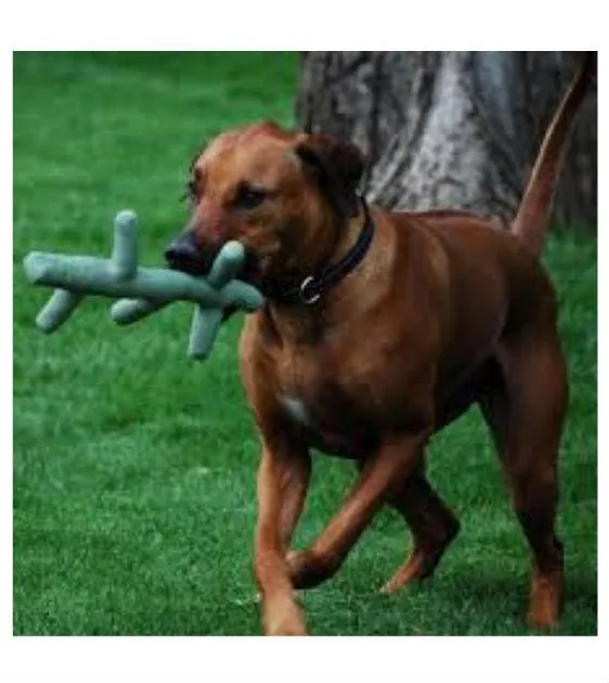Kong Pet Stix Dog Toy