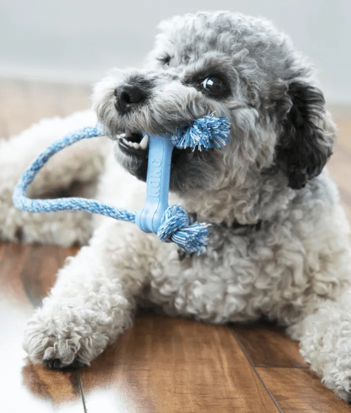 Kong - Puppy Goodie Bone With Rope X-Small