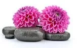 LIVE IN-PERSON 6 CE Hour Hot Stone Massage Basics