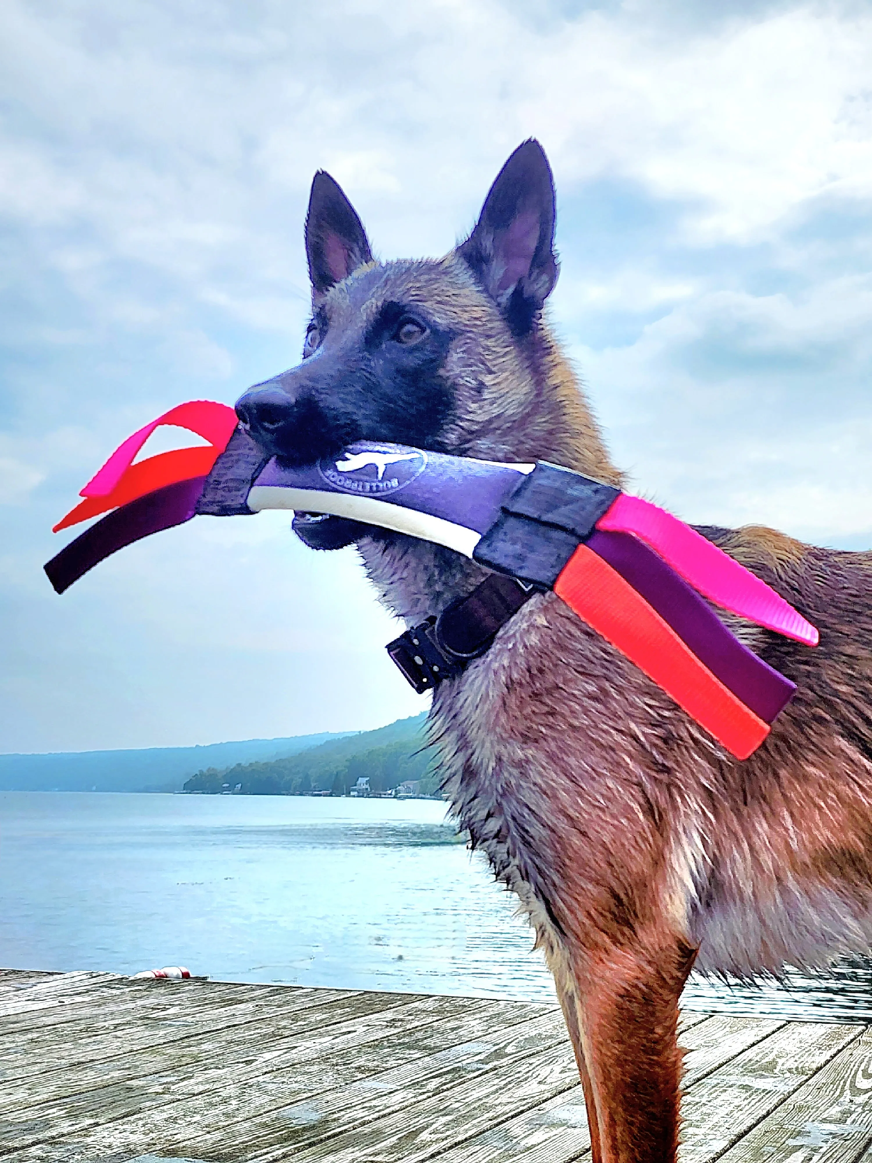 Mini Dock Diving Bumper Tug - Competition Series