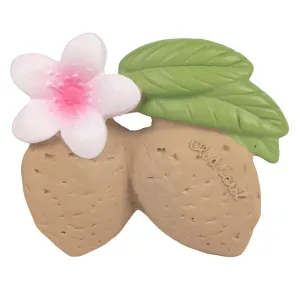 Oli & Carol Aly the Almond