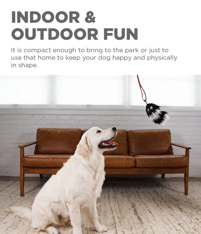 Outward Hound Tail Teaser Dog Toy