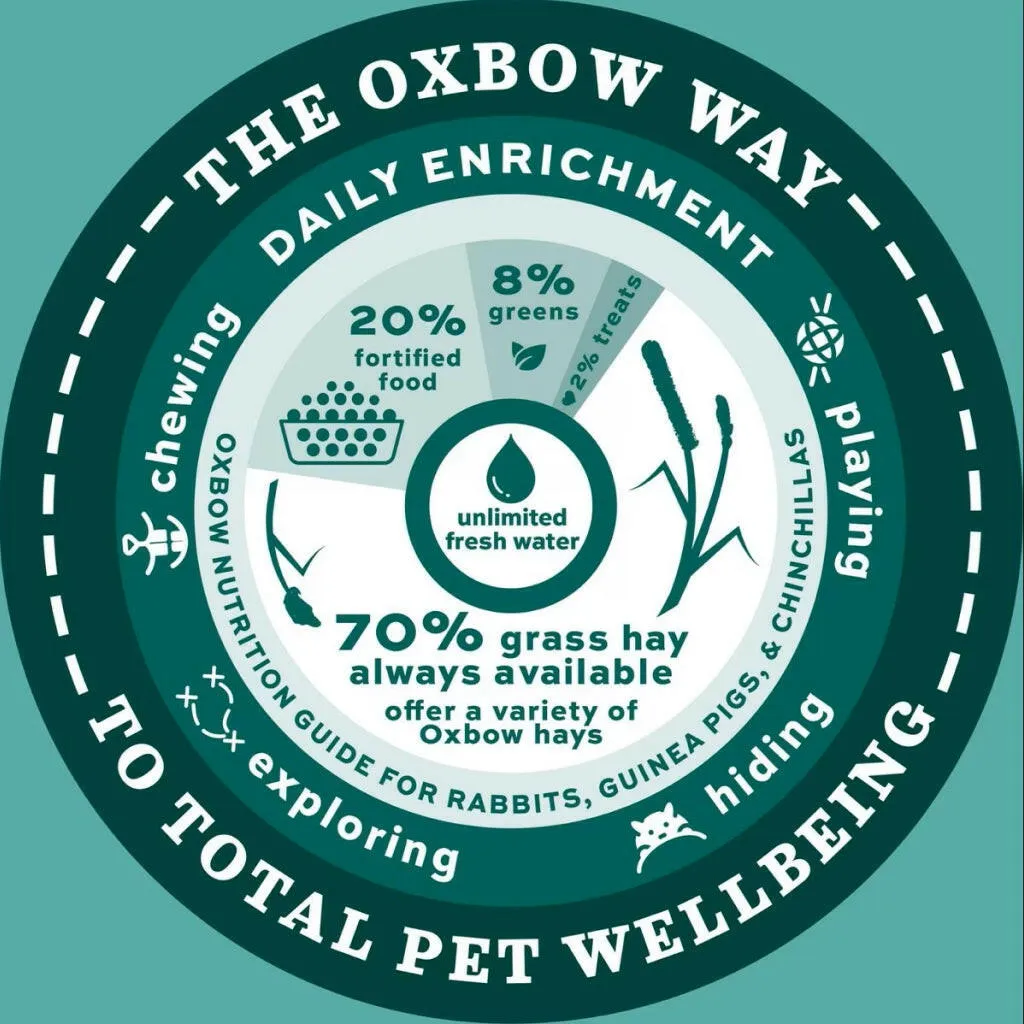 Oxbow Enriched Life Rectangle Litter Pan with Removable Shield For Small Animals