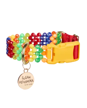 Playdate Dog Collar