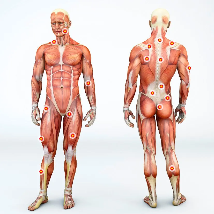 Self-paced Online Home Study 12 CE Myofascial & Neuromuscular Therapy