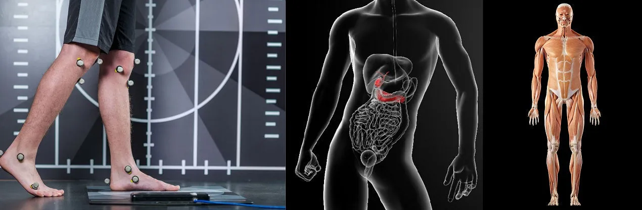 Self-paced Online Home Study 12 CE Myofascial & Neuromuscular Therapy