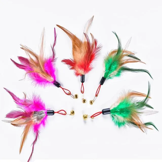 Simulation Feather Bird with Bell Interactive Stick Toy
