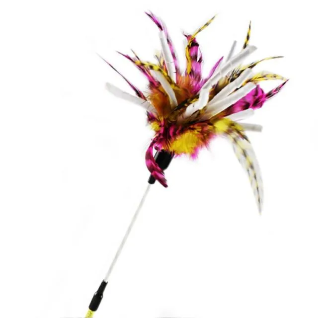 Simulation Feather Bird with Bell Interactive Stick Toy