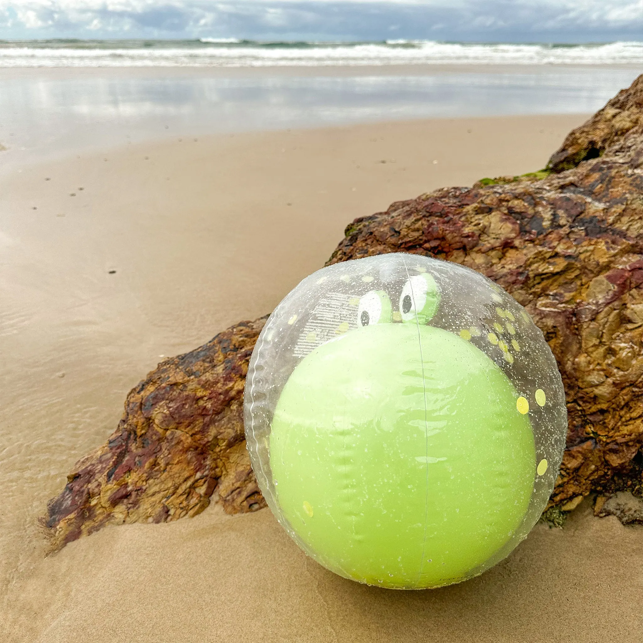 SUNNYLIFE 3D BEACH BALL | COOKIE THE CROC (KHAKI)