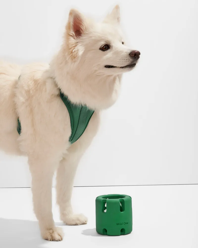 Tennis Tumble Puzzle Toy, Spruce