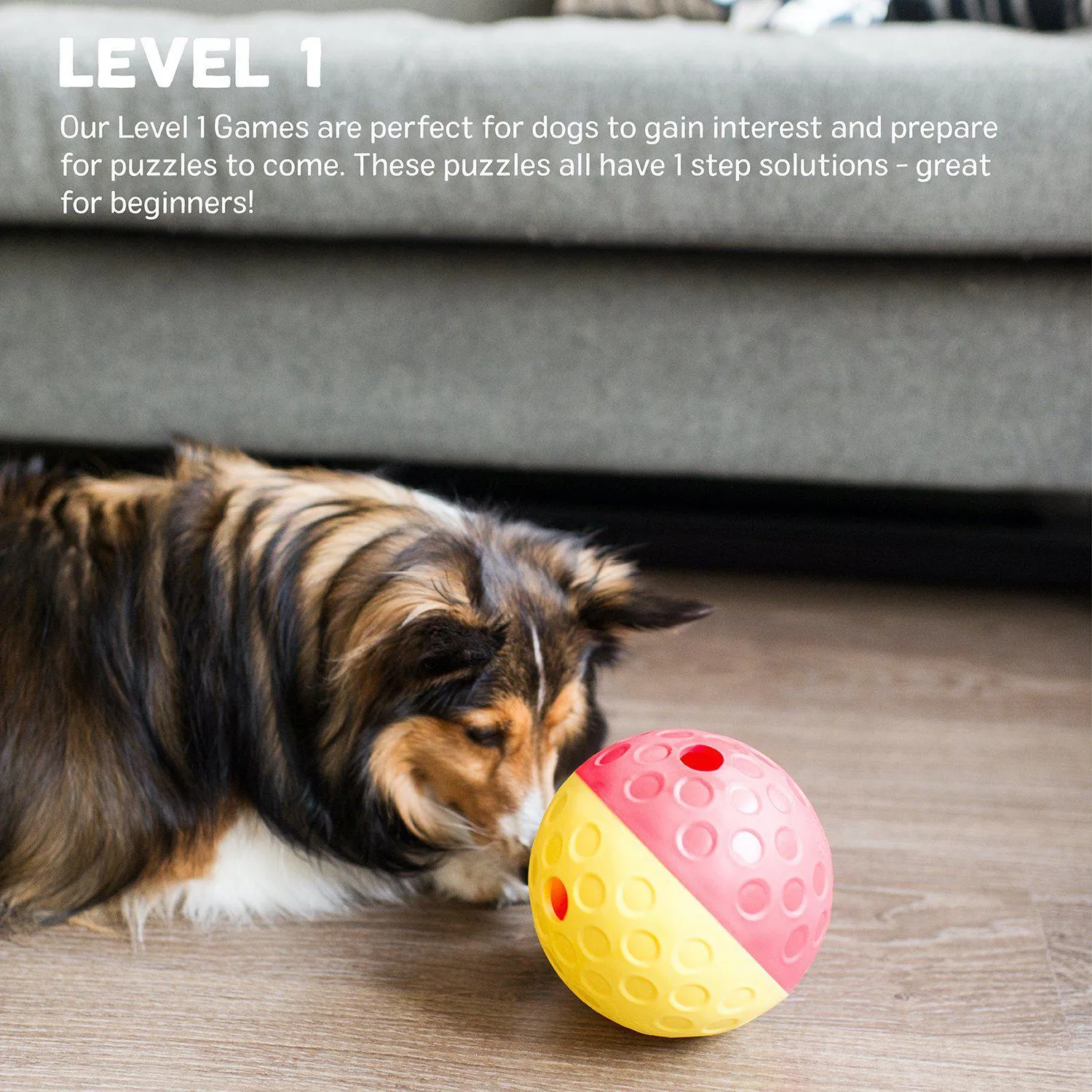 Treat Tumble Interactive Puzzle Dog Toy - Small